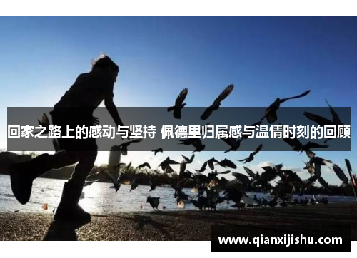 回家之路上的感动与坚持 佩德里归属感与温情时刻的回顾