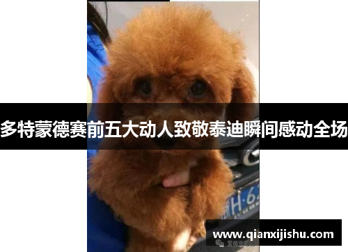 多特蒙德赛前五大动人致敬泰迪瞬间感动全场