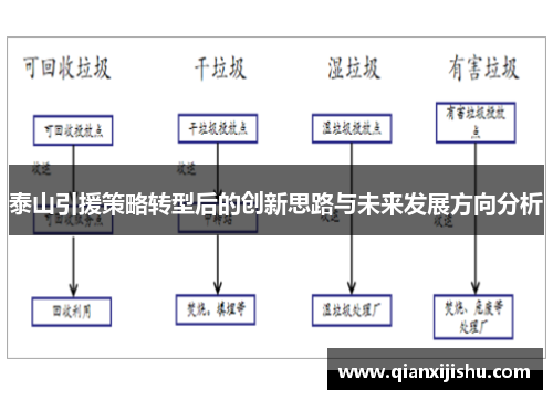 泰山引援策略转型后的创新思路与未来发展方向分析