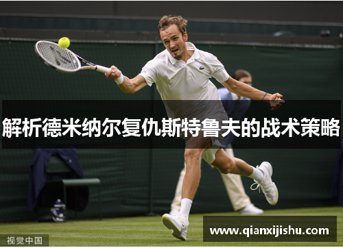 解析德米纳尔复仇斯特鲁夫的战术策略 解析德米纳尔复仇斯特鲁夫的战术策略